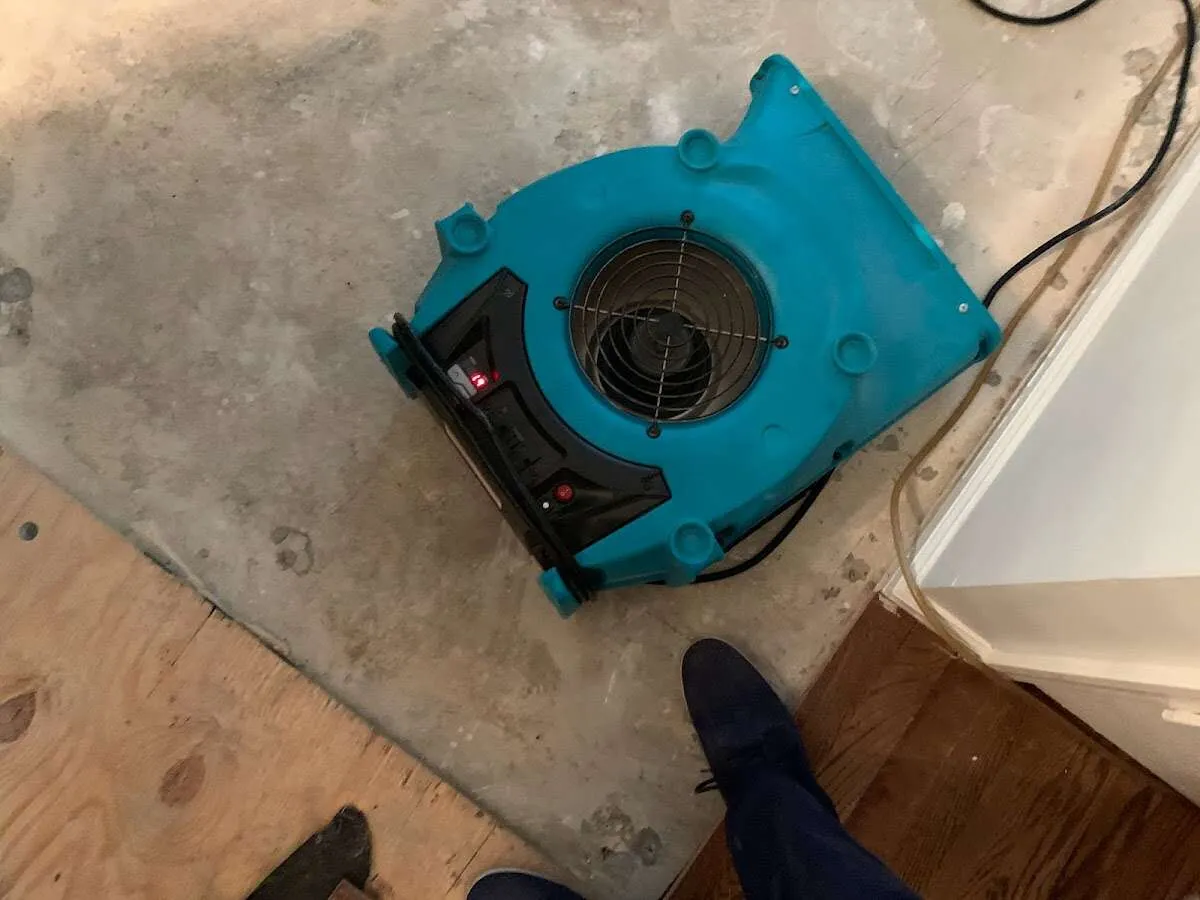 Air mover drying subfloor during Leak Detection & Repair in Lochearn